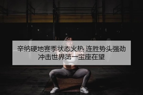 辛纳硬地赛季状态火热 连胜势头强劲 冲击世界第一宝座在望